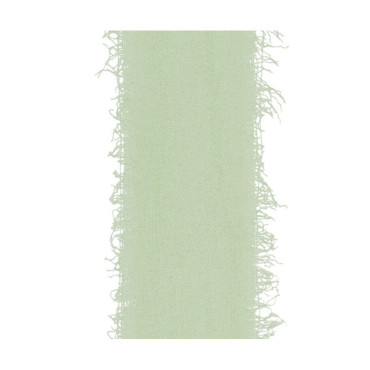 Nastro mm.30 m.25 CHIFFON verde