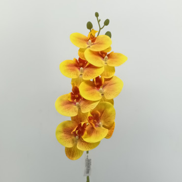 Phalaenopsis ramo cm.75 giallo