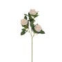 Rosa ramo cm.69 crema