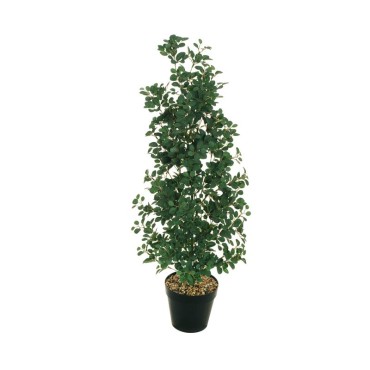 Rosa fogliaggio pianta h.084 verde