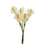 Calla cm.2,5 bianco (pz.144)