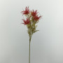 Carlina x4 cm. 56 rosso