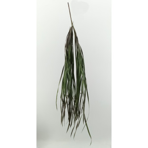 Orchid grass cm.90 verde