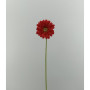 Gerbera cm.61 rosso