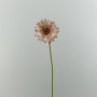 Gerbera cm.61 rosa