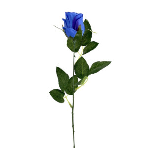 Rosa bocciolo cm. 70 blu