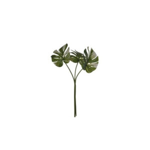 Monstera foglia cm.60 verde