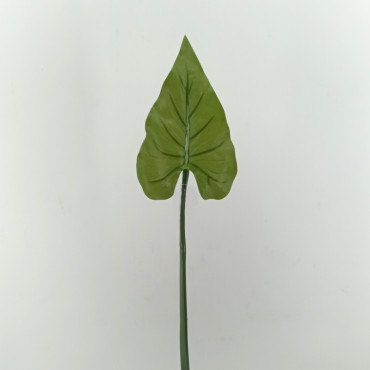 Calla foglia cm.80 verde