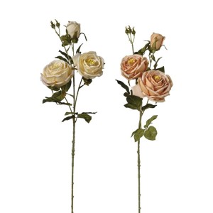 Rosa cabbage cm.80 beige-avorio