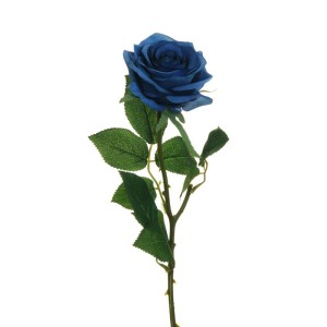 Rosa ecuador cm.65 blu