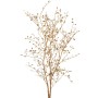 Cotoneaster ramo cm.145 oro