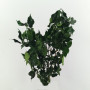 Hedera foliage verde (gr.150)