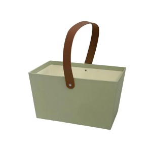 Borsa cartone 23x14 verde