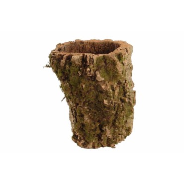 Cachepot tronco naturale