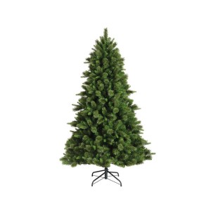 Albero EDMONTON SPRUCE h.180