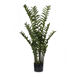 Zamia cm.110 verde