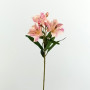 Alstromeria ramo cm.60 rosa