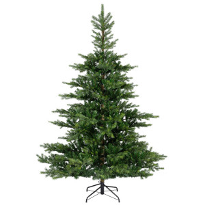 Albero GRANDIS FIR h.300