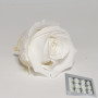 Rosa pres. d.04 mini white(pz.12)