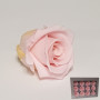 Rosa pres. d.04 mini bridal pink (pz.12)