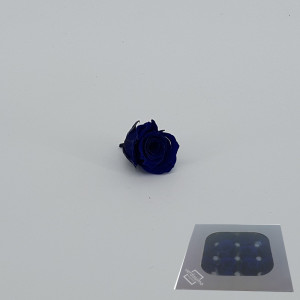 Rosa pres. d.03 princess blu (pz.16)