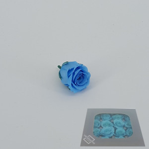 Rosa pres. d.03 princess azzurro (pz.16)