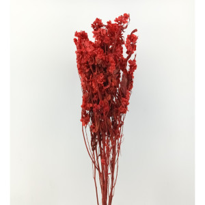 Dudy flower gr. 250 rosso cm. 78