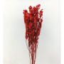 Dudy flower gr. 250 rosso cm. 78