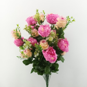 peonia-bocciolo x36 h.65 mazzo rosa