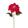 Poinsettia ramo cm.70 rosso