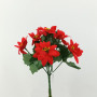 Poinsettia bush cm.26 rosso