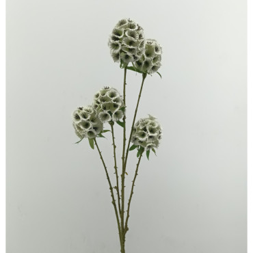 Moluccella 5 fiori cm.70 white