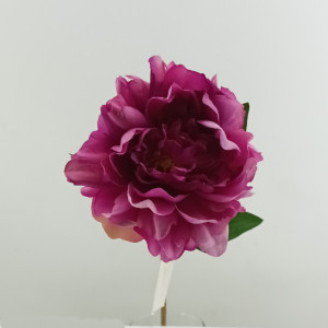 Peonia cm.65 mauve