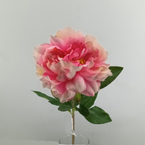 Peonia cm.65 LT rosa