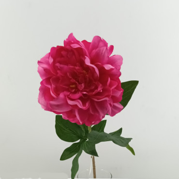 Peonia cm.65 DK rosa