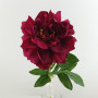 Peonia cm.65 burgundy