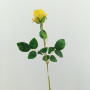 Rosa singola cm. 64 LT yellow