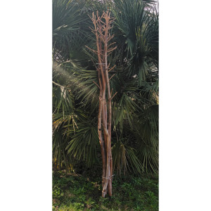 R-Ferole con bracci 180 cm (5 pz.) naturale