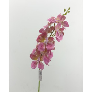 Orchidea vanda cm.77 rosa