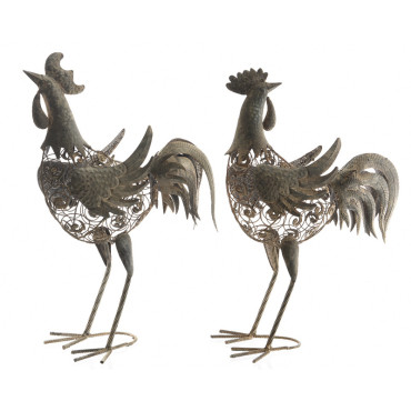 Gallo ferro 37×50