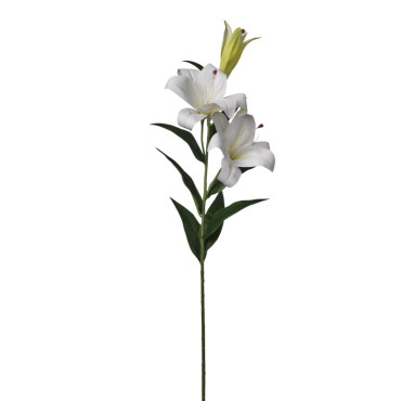 Lilium ramo cm.88 bianco