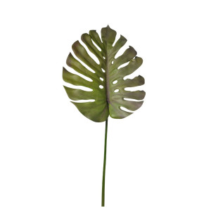 Monstera foglia cm.103 verde