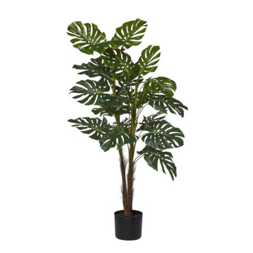 Monstera pianta h.120 verde