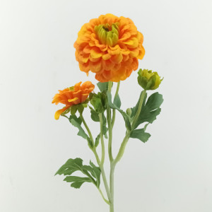 Dahlia x5 cm. 52 arancio