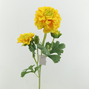 Dahlia x5 cm. 52 giallo