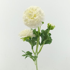 Dahlia x5 cm. 52 bianco