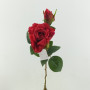 Rosa x2 cm. 48 rosso