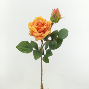 Rosa x2 cm. 48 arancio