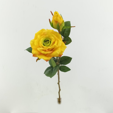 Rosa x2 cm. 48 giallo