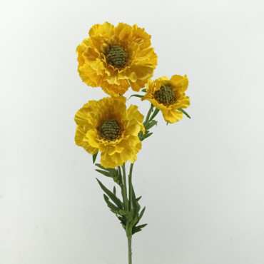 Scabiosa ramo x3 cm.71 giallo